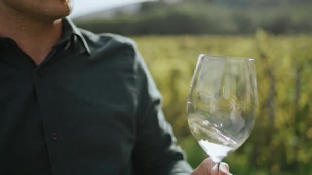 意大利人必须把白葡萄酒倒入玻璃杯中 站在美丽的葡萄园里 阳光普照 葡萄种植园中迷人的年轻品酒者喝美味酒的肖像 — 图库视频影像