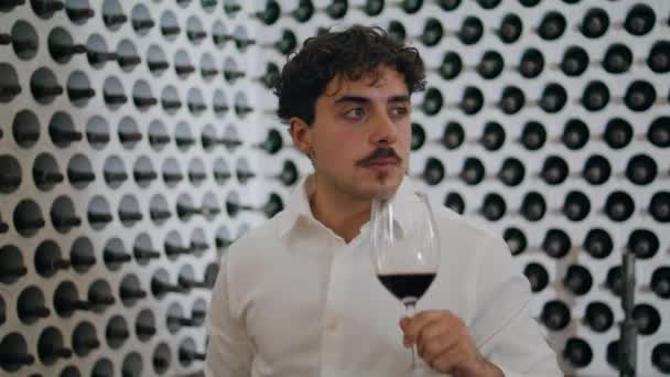 Homme Prospère Vigneron Marchant Sur Cave Vin Tenant Gobelet Verre — Video