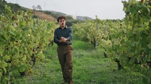Jonge Italiaanse Man Gaat Wijngaard Rijen Zoek Druivenstruiken Het Oogstseizoen — Stockvideo