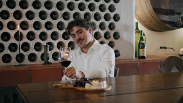 Joven Catador Vino Profesional Atractivo Mirando Vidrio Con Remolino Bebida — Vídeo de stock