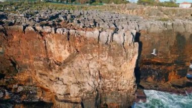 Okyanus dalgaları üzerinde sinematik panorama kıyı kayaları. Hava tehlikeli volkanik kayalıklar güçlü karanlık deniz sularını yıkıyor. Martı ağır çekimde sert taşların üzerinde uçuyor. Güneşli deniz manzarası konsepti