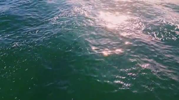 Dalgalanan Okyanus Güneş Işınlarını Yansıtıyor Derin Mavi Güneşli Gökyüzünün Altında — Stok video