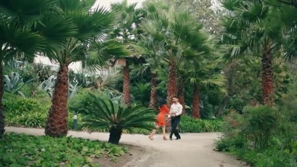 熱帯公園でラテンスタイルを踊る情熱的なストリートダンサー 2人のプロの演奏家がスローモーションで感覚的にサンバを演奏している ブルネット女性で赤いドレス男パートナーとダンスを楽しむ — ストック動画