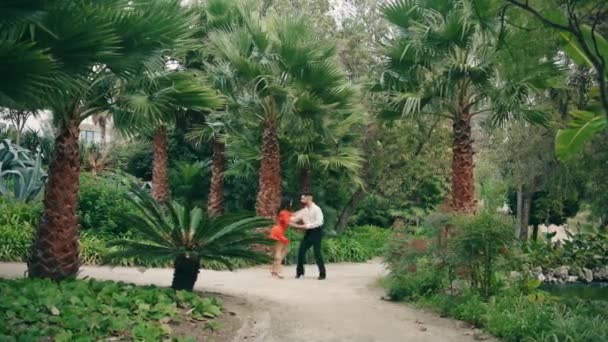 Dançarinos Profissionais Energéticos Executando Estilo Latino Jardim Tropical Verão Jovens — Vídeo de Stock
