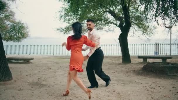 两个精力充沛的舞者在城市公园里跳拉蒂诺舞 一对专业的艺术家慢动作地跳桑巴 充满激情的他的惊慌失措的伴侣欣赏街头节庆表演 — 图库视频影像
