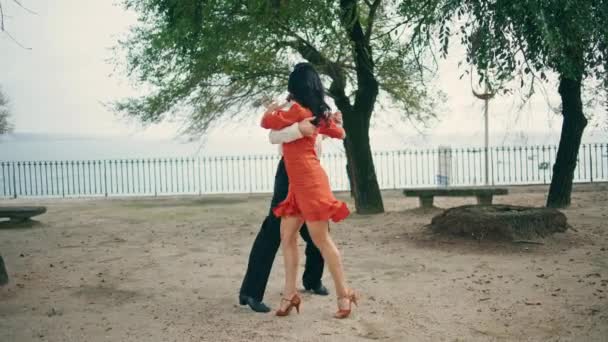 Страстная Пара Латиноамериканцев Танцует Летний День Городском Парке Счастливая Пара — стоковое видео