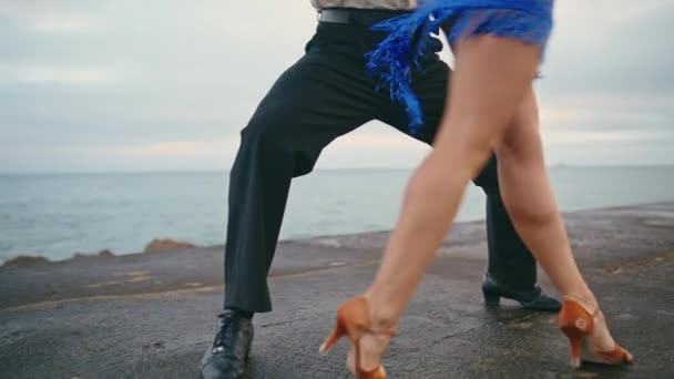 Closeup Dancers Legs Performing Sensual Latin Dance Overcast Seashore Unknown — Stock Video