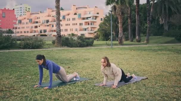 Starke Sportler Praktizieren Yoga Auf Einer Lichtung Junge Achtsame Mädchen — Stockvideo