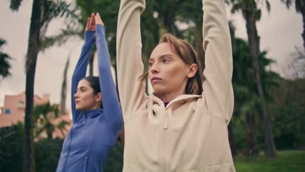 柔韧的瑜伽早上体操套路 在多云的暴风雨公园里 女人们正在热身 安静的女孩看着距离训练瑜伽的绿色自然 体育生活方式概念 — 图库视频影像