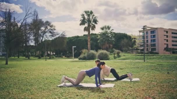 健康女性在室外练习厕所力量锻炼 两名健康的女孩在公园做俯卧撑和跳跃练习 享受密集的有氧训练 多云的日子里 一对强壮的女伴在做运动 — 图库视频影像