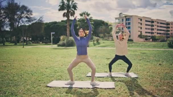 活跃的女士在夏季公园里跳杰克 身材苗条的女运动员在热带雨林训练身体 胖胖的女人喜欢在室外一起做有氧运动 体育常规概念 — 图库视频影像