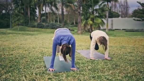 热带自然中的绒毛瑜伽体 瑜伽运动服女孩一起在绿地公园练太阳敬礼姿势 灵活活跃的妇女在室外进行 Quot Asana Quot Quot Enjoy Pair Quot — 图库视频影像