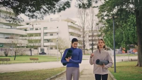 Друзі Йоги Спілкуються Парковій Алеї Молоді Леді Розмовляють Лісі Розслабляючись — стокове відео