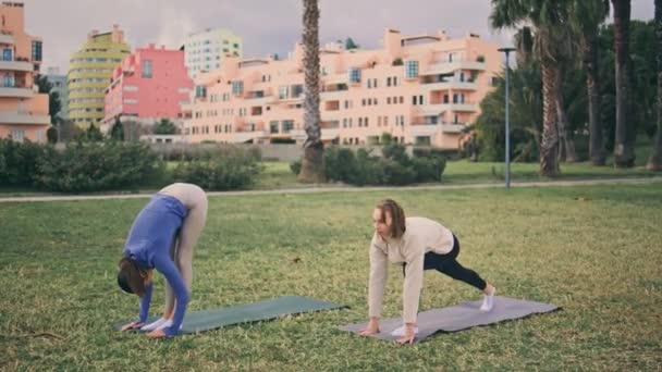 在城市公园里不停地拉着瑜伽垫 宁静的运动员们在夏天练习跳板时 摆出一种喜欢晨练的体式 出于健康动机的女孩一起在大自然中接受培训 — 图库视频影像
