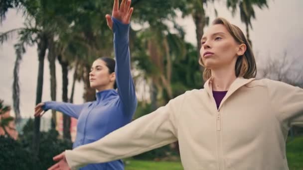 田径双双在大自然中练习瑜伽 多姿多彩的女人适合早起举手表决 在公园一起做呼吸练习的注意放松的女孩 能源和谐概念 — 图库视频影像
