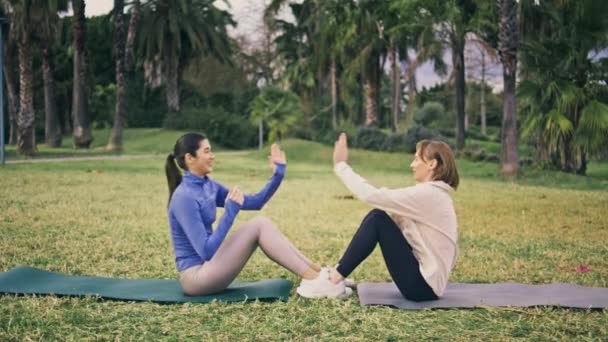 公园里的运动队健身锻炼 增强运动员的力量 让他们享受伙伴在草坪上的训练 身材苗条的女人在瑜伽地毯上做有氧运动 适合过积极生活的女孩 — 图库视频影像