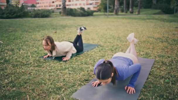 女运动员在公园里做运动 健康激励着女孩们一起在新鲜空气中享受力量锻炼 在草坪上积极锻炼胸部和手臂肌肉的强壮女性 — 图库视频影像