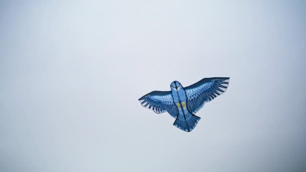 Прекрасный Воздушный Змей Летящий Облачный День Беззаботная Голубая Птица Сова — стоковое видео