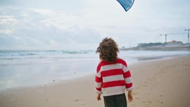Мальчик Играет Воздушного Змея Берегу Океана Вид Сзади Кучерявый Ребенок — стоковое видео
