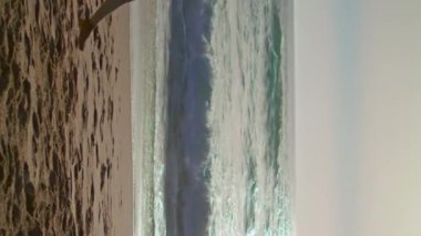 Sakin, sıska bir kadın kumsalda yürüyor ve yaz gündoğumu videosunun keyfini çıkarıyor. Afrika kökenli Amerikalı kız güzel okyanus dalgalarının yanına gidiyor. Spor kıyafetleri giyen genç bayan spor yaptıktan sonra rahatlıyor.