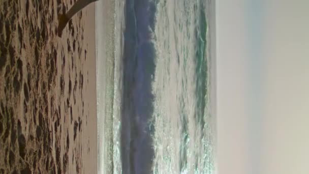 Спокойная Стройная Женщина Гуляющая Песчаному Побережью Наслаждается Летним Вертикальным Видео — стоковое видео