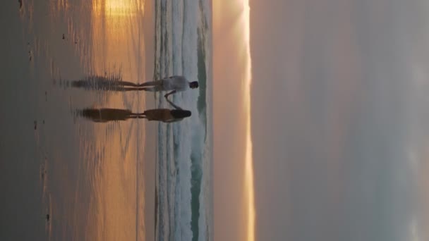 Zlaté Siluety Kráčející Slunečními Paprsky Osvětlují Mořskou Krajinu Milí Lidé — Stock video