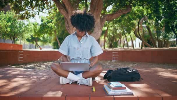 Estudiante Rizado Mirando Pantalla Portátil Sentado Parque Ciudad Solo Mujer — Vídeos de Stock
