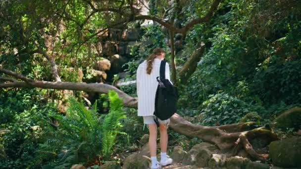 Mulher Sonhadora Sentar Árvore Deitada Floresta Verde Despreocupado Jovem Viajante — Vídeo de Stock