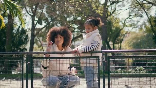 晴れた日 公園のフェンスの近くに立っている母の娘 アフリカ系アメリカ人女性が屋外で鳥に餌を与えるパン粉を投げる 美しい緑の自然の中で一緒に週末を楽しんでいるハッピーケアフリーの家族 — ストック動画