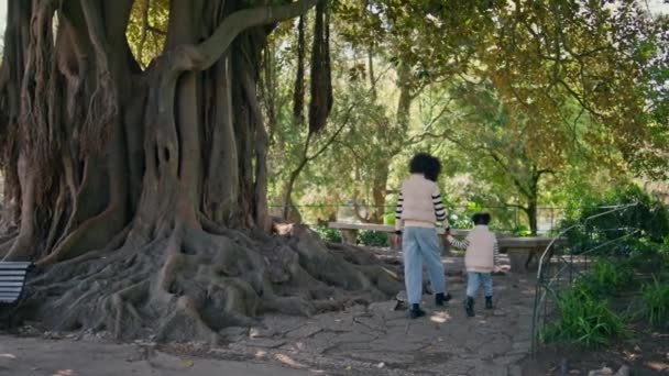 Feliz Madre Niño Caminando Cerca Hermoso Extenso Árbol Del Parque — Vídeo de stock