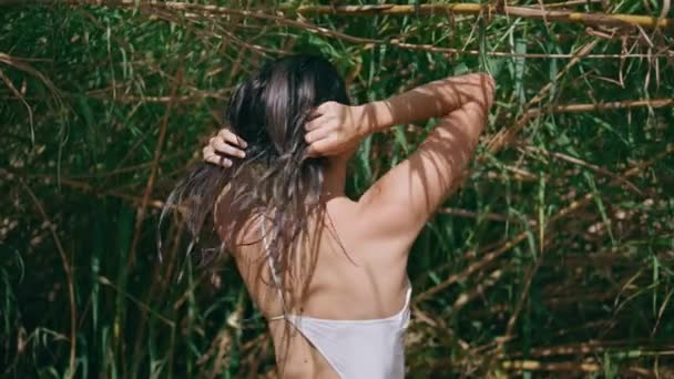 Μελαχρινή Αγγίζοντας Βρεγμένα Μαλλιά Στη Λιακάδα Άγρια Ζούγκλες Πίσω Όψη — Αρχείο Βίντεο