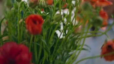 Çiçekçi dükkanında çiçek kompozisyonu çiçek açar. Evli çift çiçekçiden gül buketi alıyor. Çiçek butiğinde hafif bahar gelinciği çiçekleri sallanıyor. Doğal güzellik romantik aşk hediye konsepti