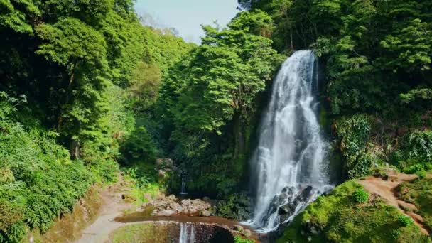 Viva Corriente Agua Que Cae Exuberante Selva Verde Paisaje Naturaleza — Vídeo de stock