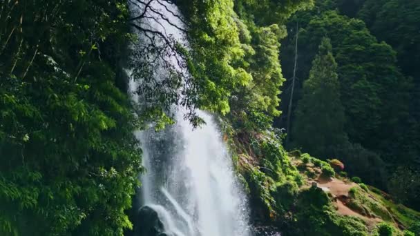 林地瀑布落石特写 无人机拍摄生动的水瀑布苔藓野生雨林 汹涌的大溪流从茂密的森林绿地中冲下石头 放宽自然景观设计概念 — 图库视频影像