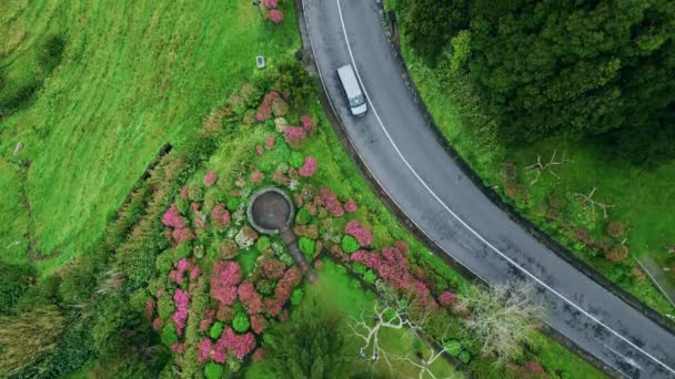 Autopista Asfalto Que Extiende Hermosa Naturaleza Verano Vista Superior Del — Vídeos de Stock