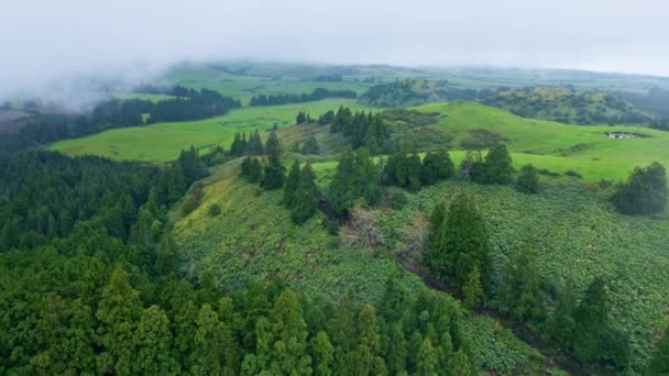 Wolken Die Boshellingen Landschap Uitzicht Vanuit Lucht Regenachtig Weer Dennenbomen — Stockvideo
