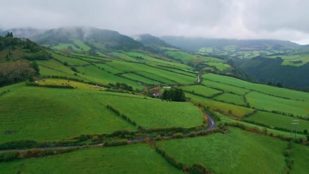 Rainy Ciel Forêt Nature Drone Vue Des Vallées Verdoyantes Panoramiques — Video
