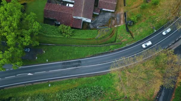 Iyi Manzaralı Arabalar Kırsal Arazide Geziniyor Drone Çimenli Yeşil Bitki — Stok video
