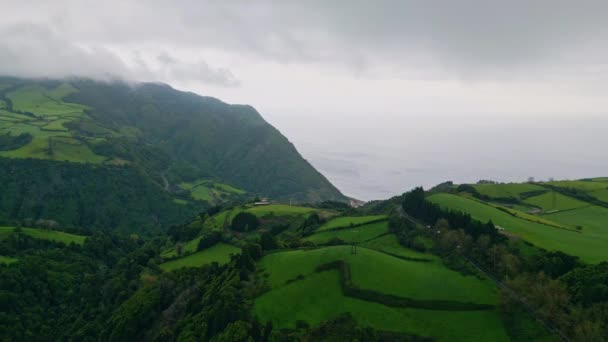 Szomorú Időjárás Természeti Park Tengeri Horizonttal Drónra Néző Esős Felhős — Stock videók