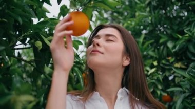 Esmer, botanik bahçesinde meyve koklayarak turuncu kokudan zevk alıyor. Yeşil ağaçların altında duran olgun mandalinaya dokunan tatmin olmuş genç bir kadın. Narin bayan canlı doğada narenciye kokusu alıyor.