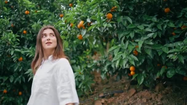 Toeristische Vrouw Wandelen Sinaasappelbomen Botanische Tuin Close Ontspannen Jongedame Bewondert — Stockvideo