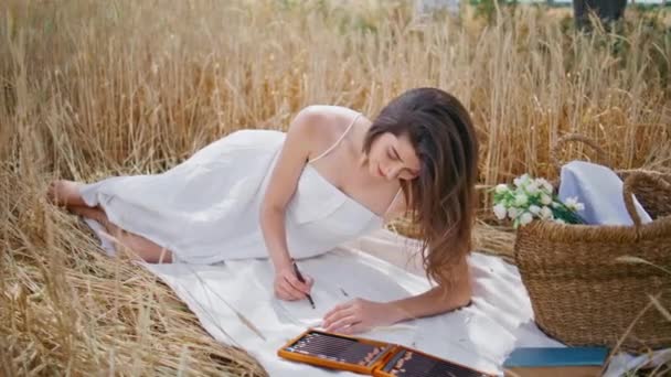 艺术家女士在草甸野餐时在笔记本上画草图 用铅笔在黑麦小穗地里画一幅松懈的女孩画 快乐的微笑的女人喜欢夏天在花篮边铺毛毯 — 图库视频影像