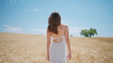 Mutlu kadın yaz tarlasında geziniyor. Kırsal kesimde gezen el kamerası esneme pozitifliği. Romantik kaygısız kız, kırsal kesimde buğday ekinlerini aşıyor.