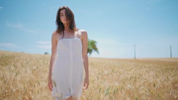 Kobiecy Model Przecinający Krajobraz Ziaren Pszenicy Pewna Siebie Czysta Dama — Wideo stockowe