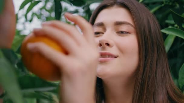 Kobieta Bliska Zbierająca Pomarańcze Bujnej Zieleni Portret Rolnik Dziewczyna Patrząc — Wideo stockowe