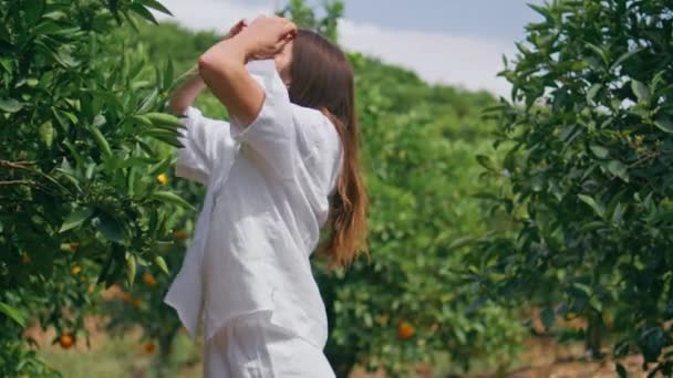 편안한 즐기는 신선함 무성한 언덕에서 머리를 만지는 오렌지 농장에서 Squinting — 비디오