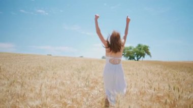 Neşe saçan bir kadın, gün ışığıyla birlikte doğaya bakıyor. Kaygısız kadın, altın kırsal alanda hızlı hareket eden ellerini kaldırıyor. Heyecanlı, beyaz elbiseli, çekici hareketler yapan mutlu kız tek başına dönüyor.