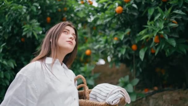 Turunçgil Bahçesinde Yürüyen Bayana Hayranım Olumlu Genç Kadın Çiftçi Sepetle — Stok video