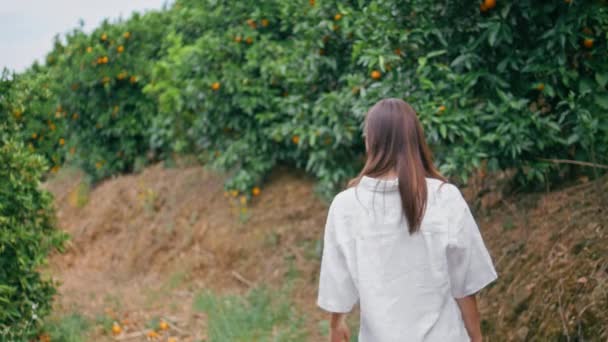 Bewonderende Dame Stapt Mandarijn Fruit Steegje Achteraanzicht Prachtig Brunette Meisje — Stockvideo