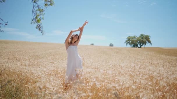 白色衣服模特夏天在麦片大自然中享受 年轻女子举起双臂 在黑麦田地平线上摆出姿势 布鲁内特女士触摸头发感觉自由在收获农田景观 农村生活 — 图库视频影像